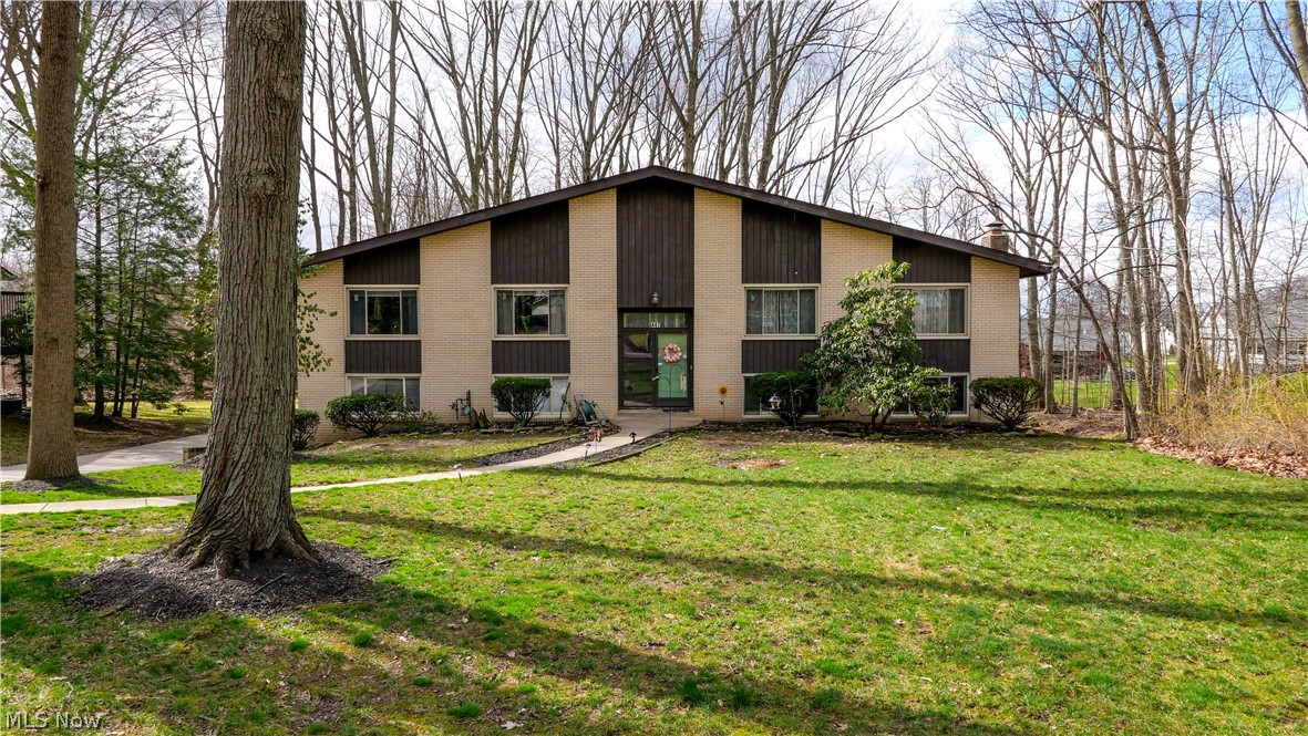 447 Spring Grove Drive