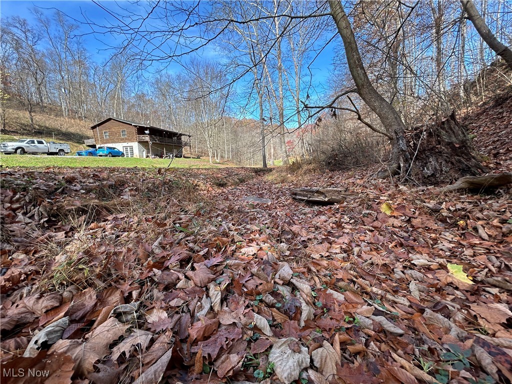 2886 Ossia Road, Duck, West Virginia image 43