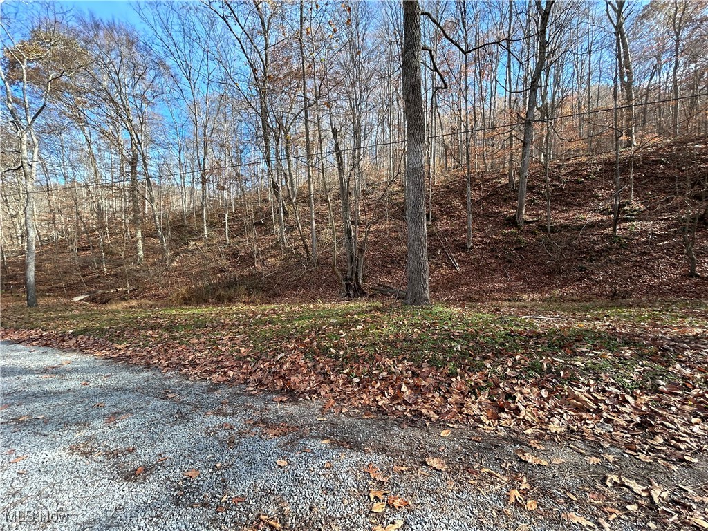2886 Ossia Road, Duck, West Virginia image 41