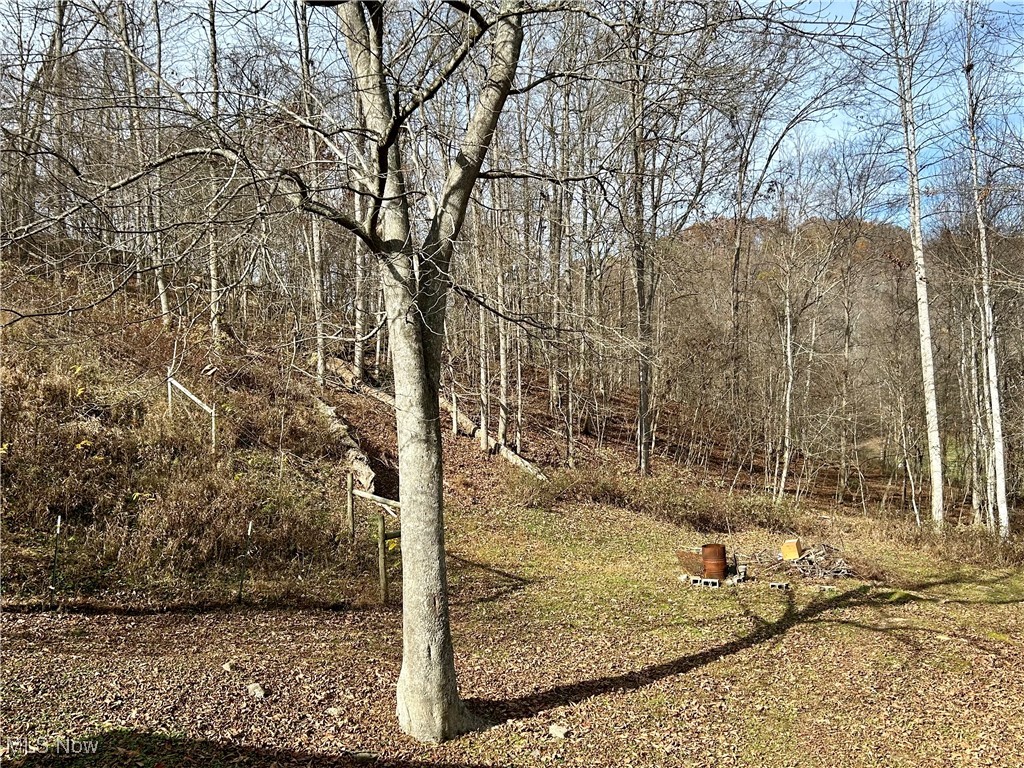 2886 Ossia Road, Duck, West Virginia image 50