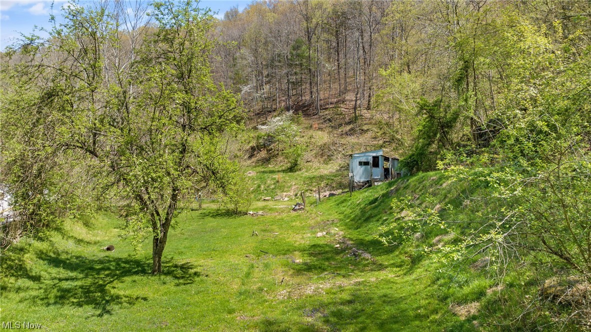 8872 Big Island Run Rd, Petroleum, West Virginia image 3