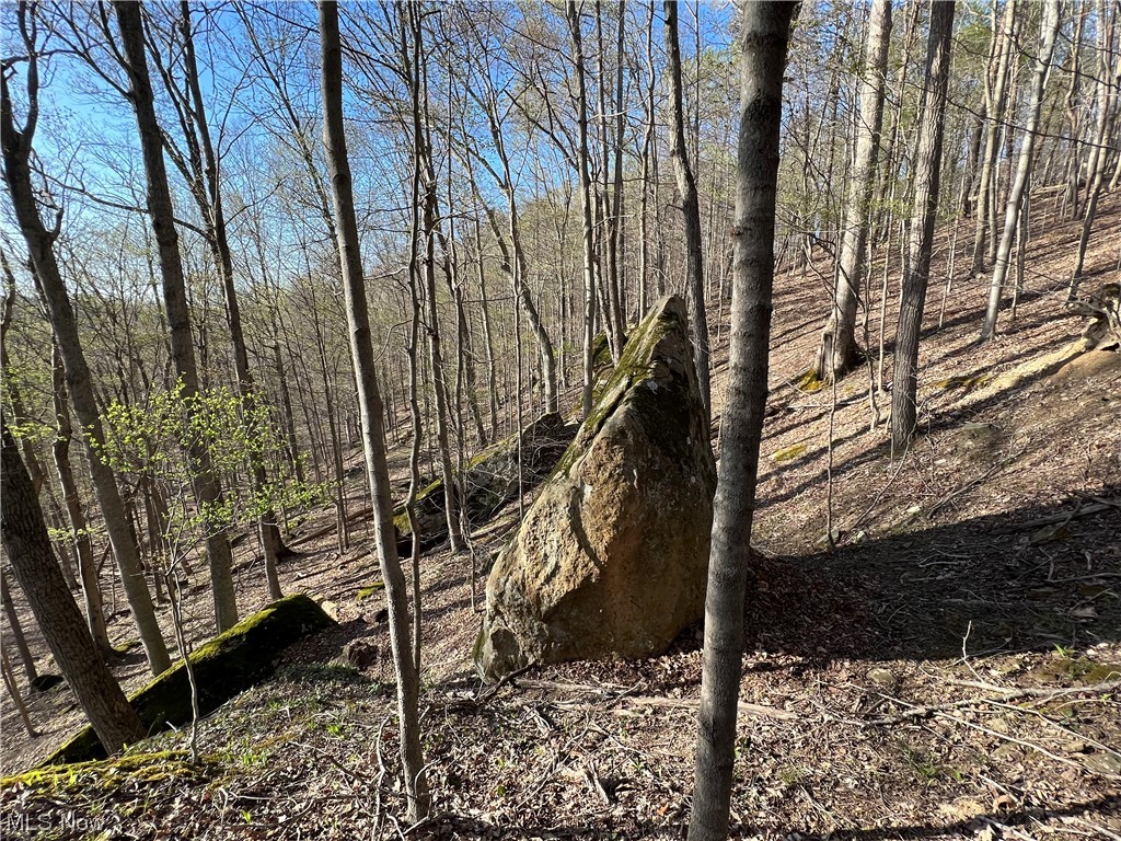 8872 Big Island Run Rd, Petroleum, West Virginia image 16