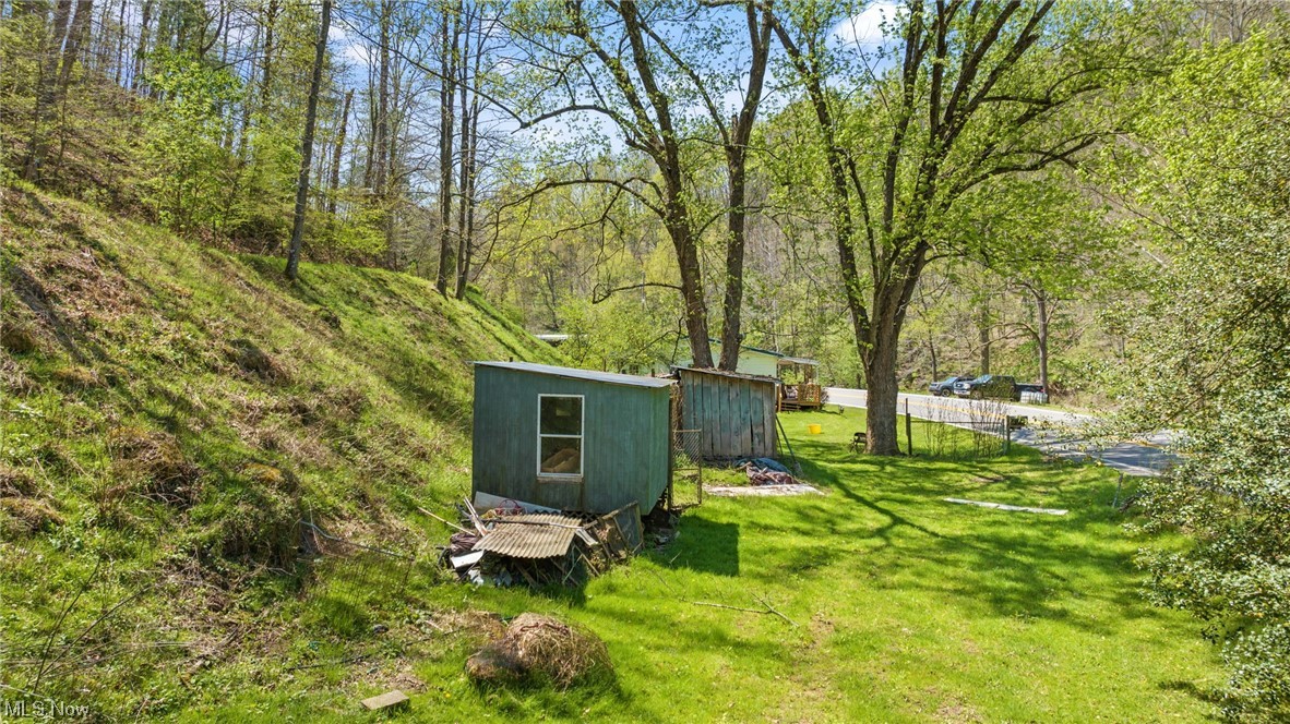 8872 Big Island Run Rd, Petroleum, West Virginia image 4