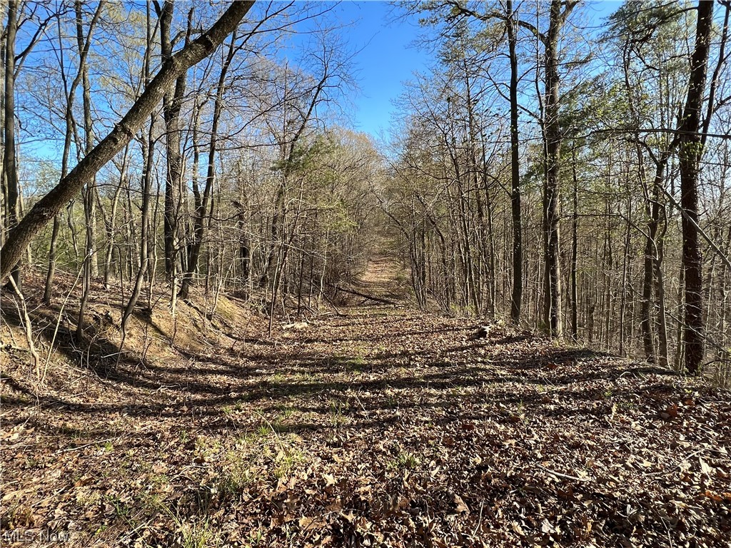 8872 Big Island Run Rd, Petroleum, West Virginia image 14