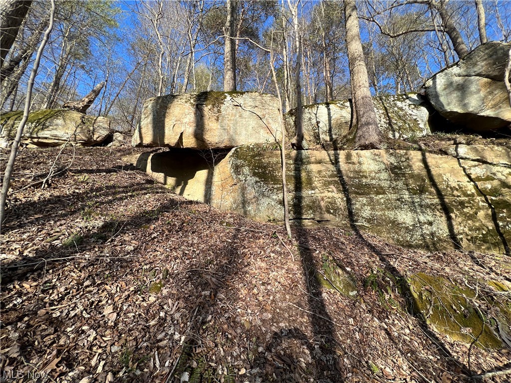 8872 Big Island Run Rd, Petroleum, West Virginia image 18