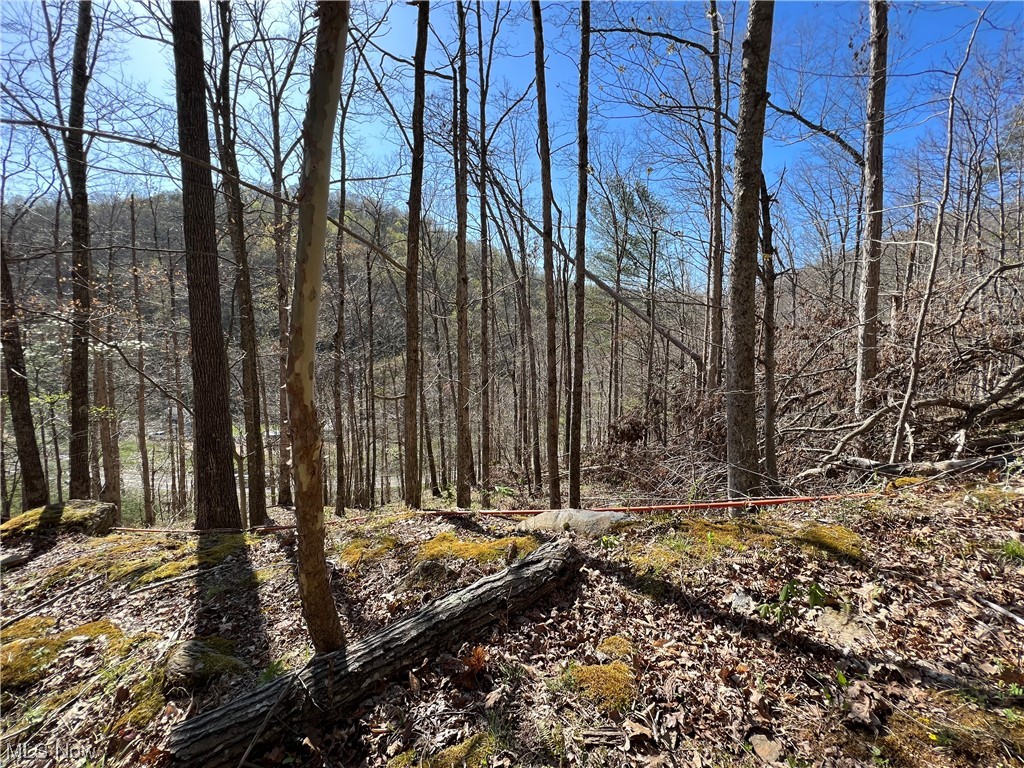 8872 Big Island Run Rd, Petroleum, West Virginia image 8