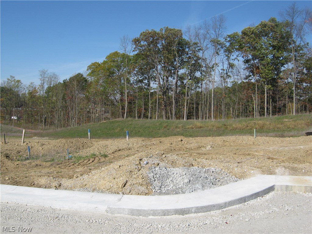 The Enclave at Old Mill Pond - Residential