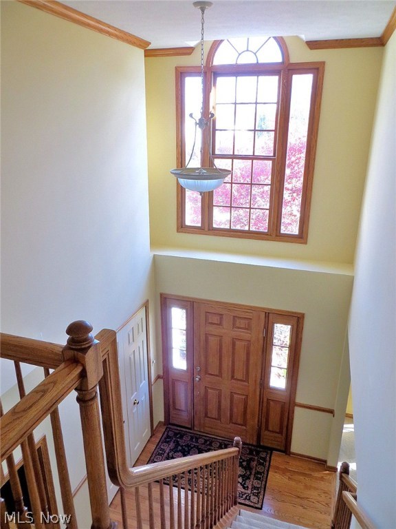 Glenwood Preserve - Residential