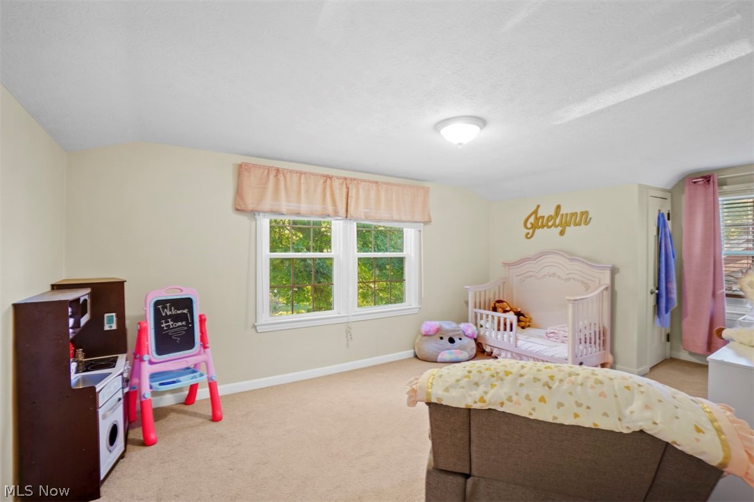 Belvoir Terrace - Residential