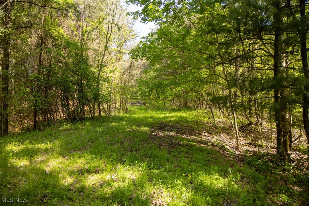 1483 Township Road 262a, New Lexington, Ohio image 4
