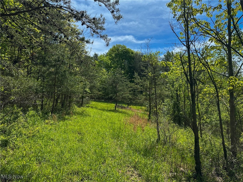 1483 Township Road 262a, New Lexington, Ohio image 18