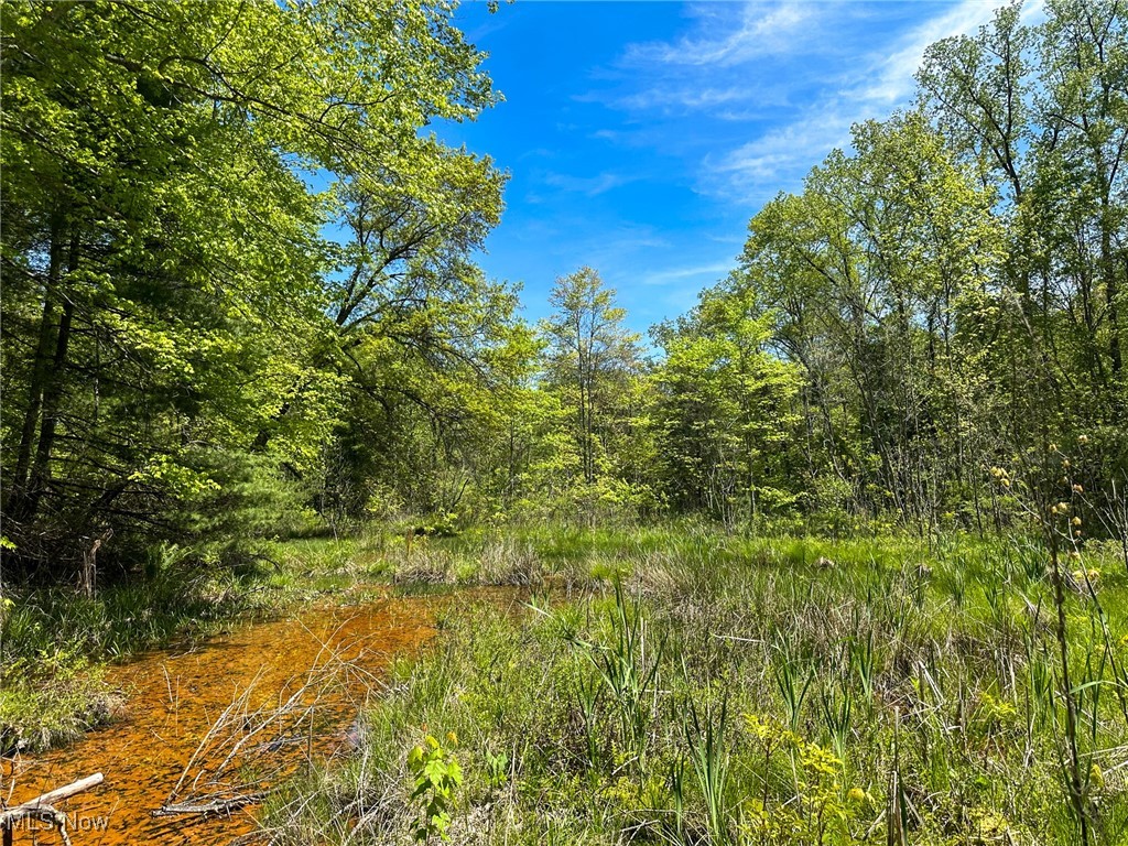 1483 Township Road 262a, New Lexington, Ohio image 25