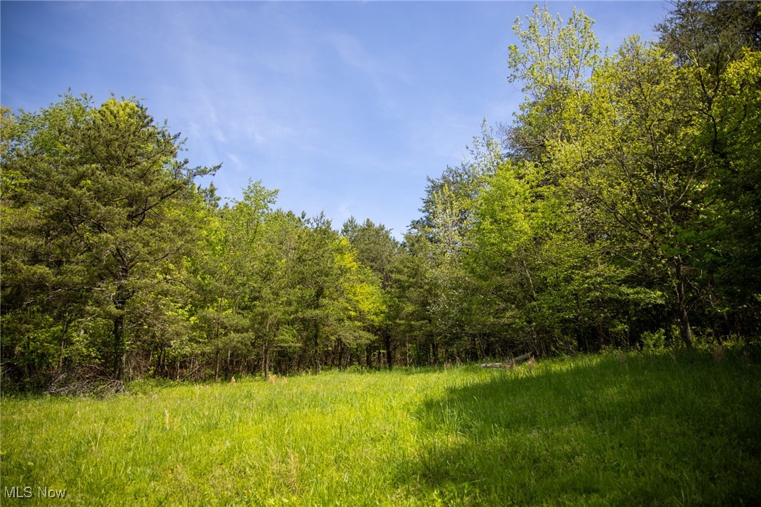 1483 Township Road 262a, New Lexington, Ohio image 11