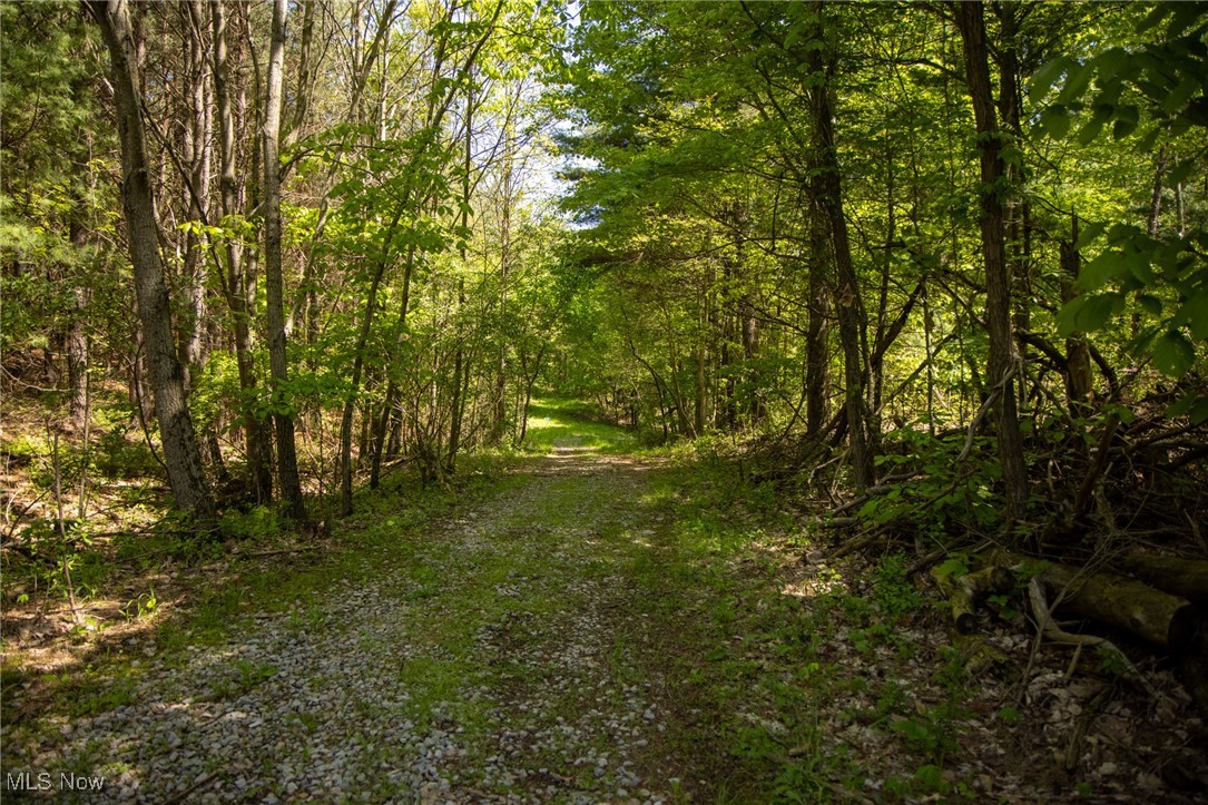 1483 Township Road 262a, New Lexington, Ohio image 12