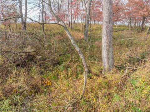 Tiny photo for Elliott Road, Newcomerstown, OH 43832 (MLS # 5253864)