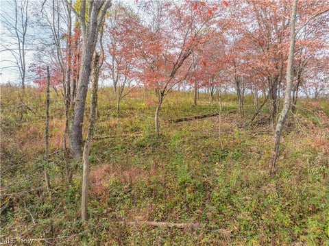 Tiny photo for Elliott Road, Newcomerstown, OH 43832 (MLS # 5253864)