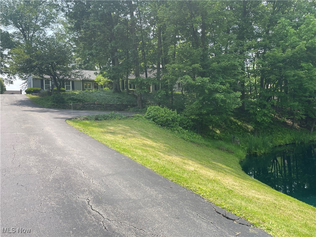 Blueberry Hill Drive - Residential