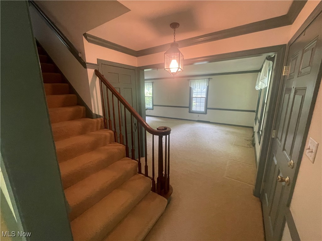 Blueberry Hill Drive - Residential