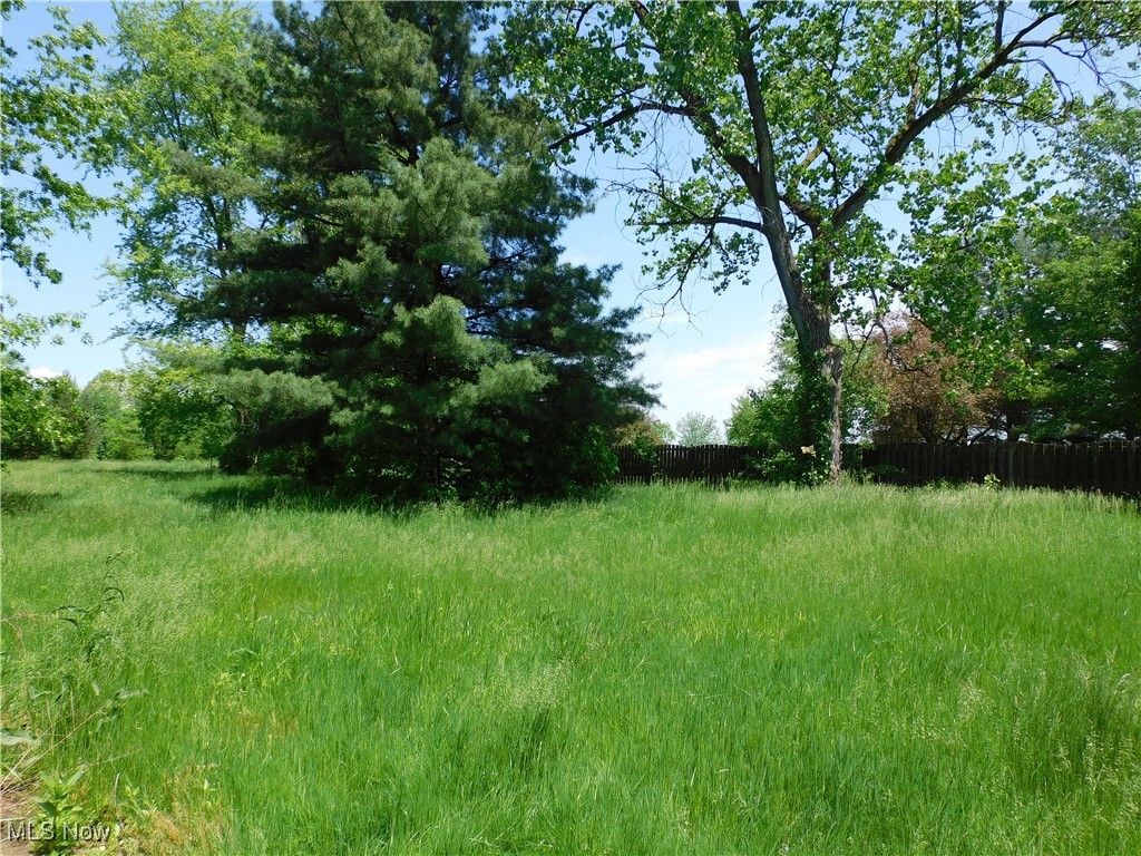 339 NE Johnson Plank Road, Warren, Ohio image 4