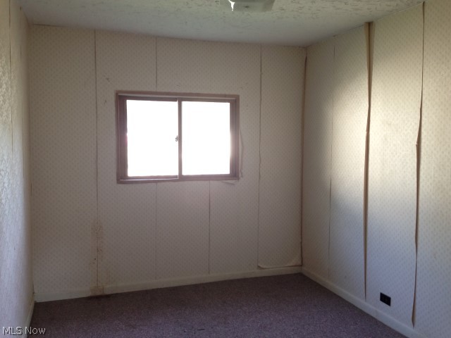 Willowick Park Allotment - Residential