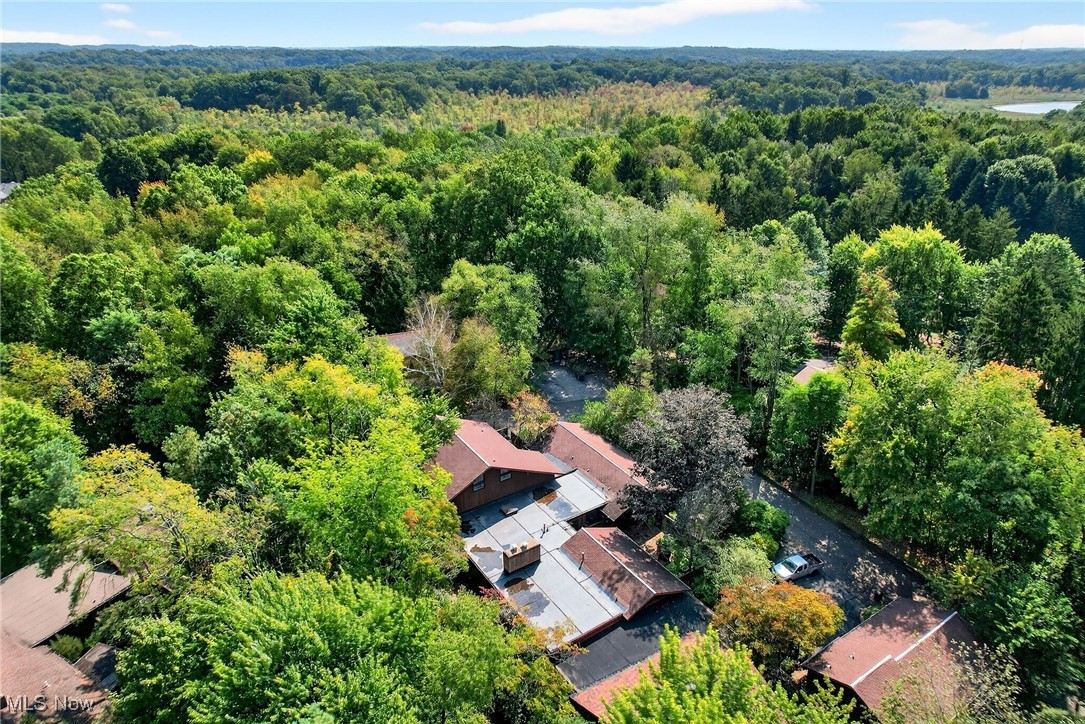 The Pines - Residential