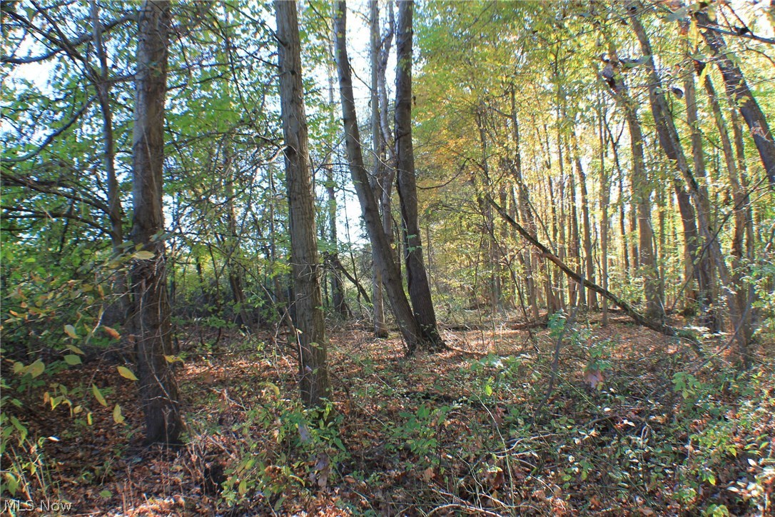 Greystone Sub - Land