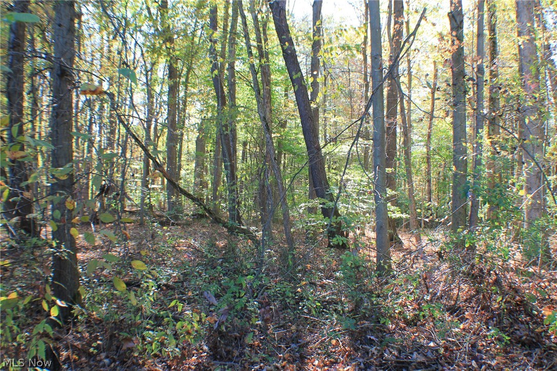 Greystone Sub - Land