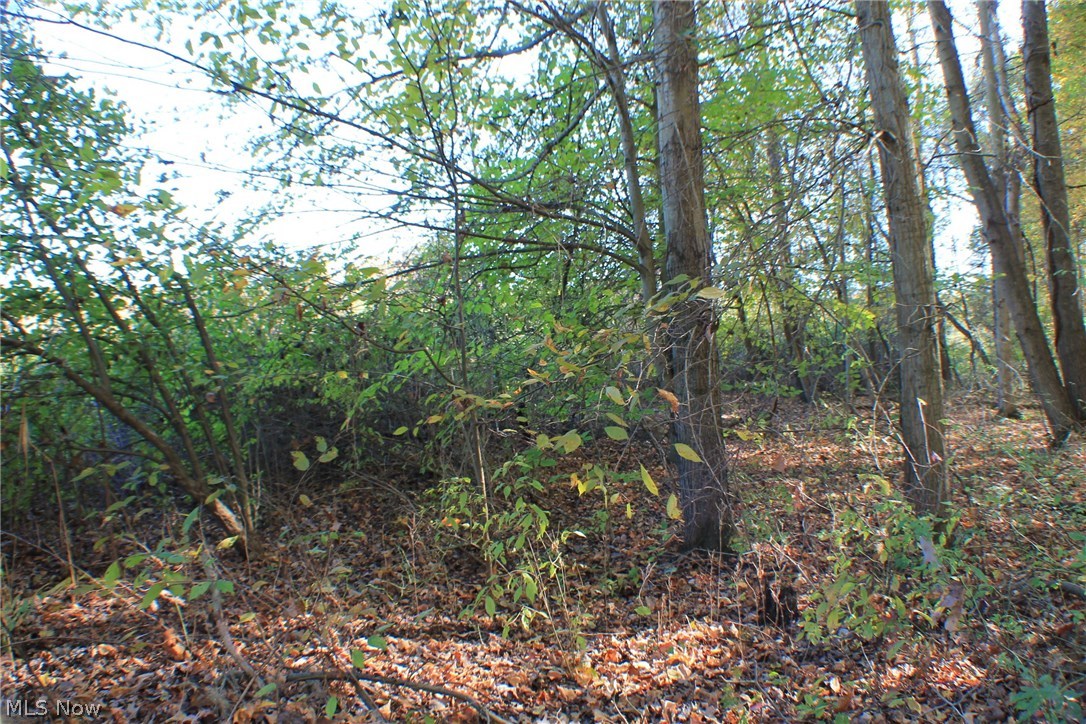 Greystone Sub - Land