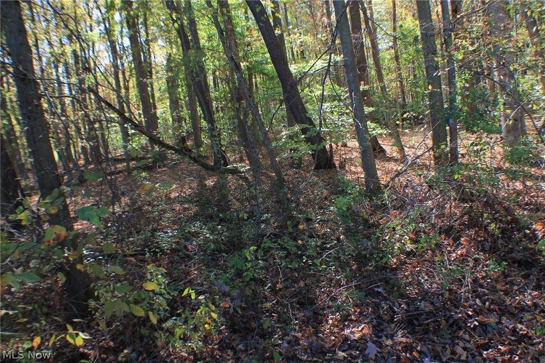 Greystone Sub - Land