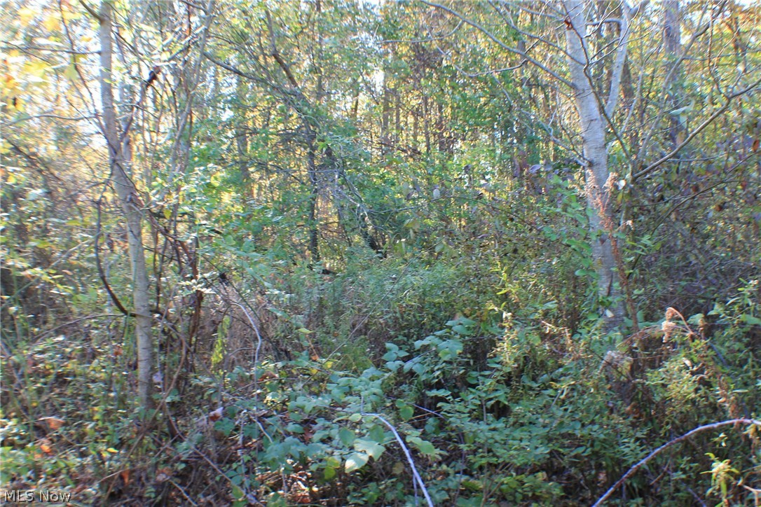 Greystone Sub - Land