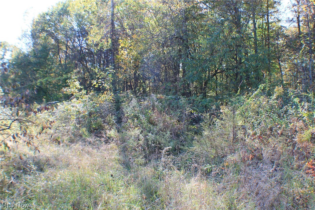 Greystone Sub - Land