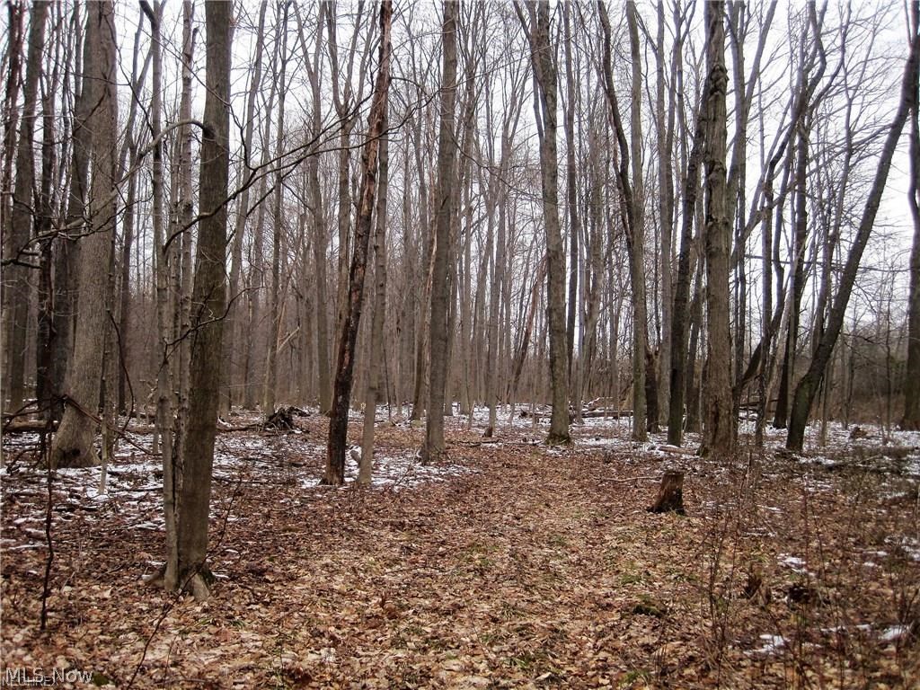 Greystone Sub - Land