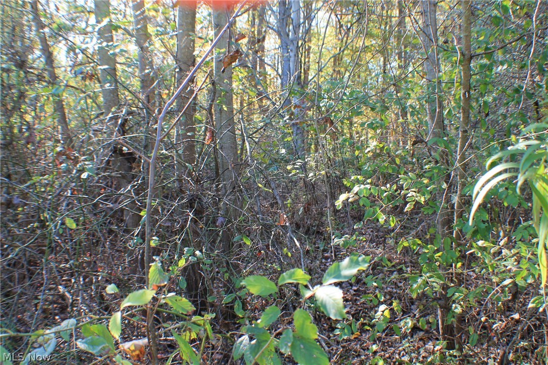 Greystone Sub - Land