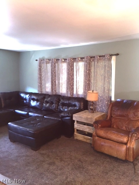 Green Sec 11 - Residential