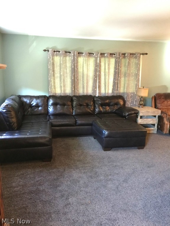 Green Sec 11 - Residential