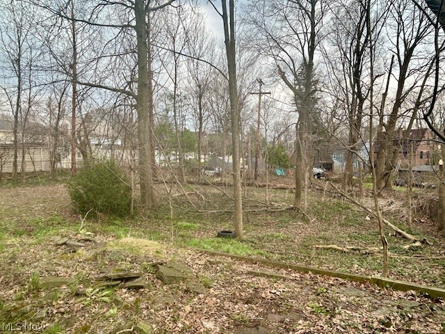 Van Sweringen Companys 02 - Residential Income