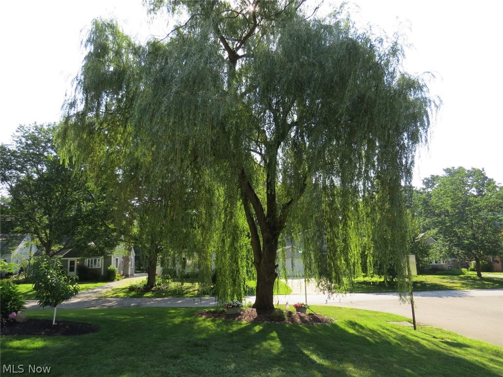 Fairlawn Reserve Dev - Residential