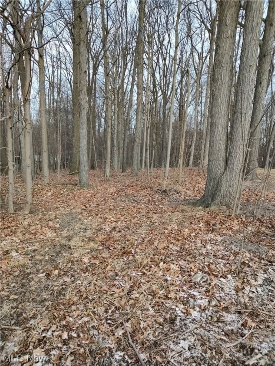 Great opportunity to build your dream home! The lot has water, gas, electricity, and phone access. Easy freeway access.