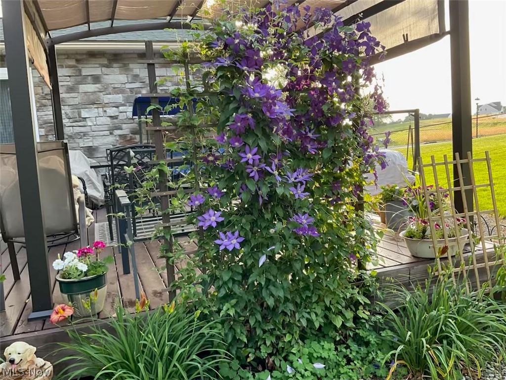 Fox Run Mdws 03 - Residential