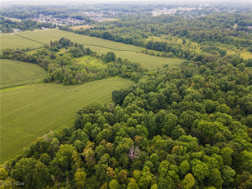 3810 Center Road, Poland, Ohio image 2
