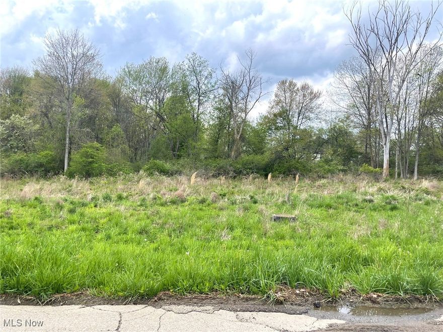 This buildable .31 acre lot is partially wooded and is on a dead end street and is located in the Perry Local School District. Lot is level and has 65' of frontage and is 383' deep. Public water and public sewer. Directions: Erie St. to east on Forest Ave. SE. to south on Candell St. SE.