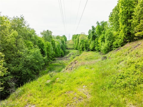Vacant Land For Sale - Edie Hill Road<br/> Tuscarawas County, Uhrichsville, OH 44683