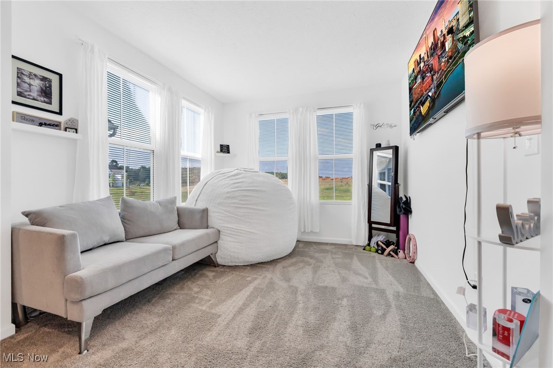 Renaissance Pk/Geauga Lake West- - Residential