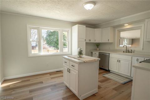 Tiny photo for 453 Wood Avenue, Newcomerstown, OH 43832 (MLS # 5188010)