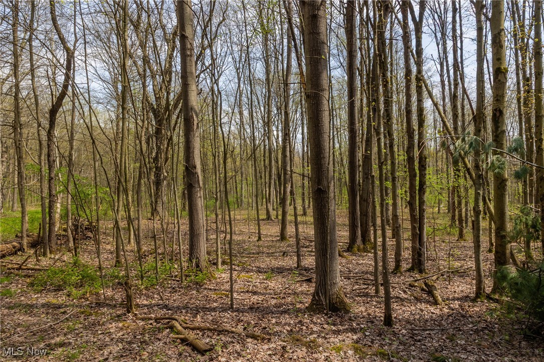 Crosby Creek Road, Rome, Ohio image 6
