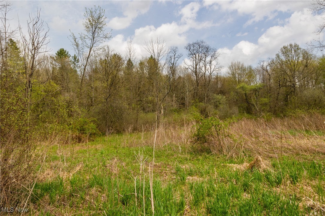 Crosby Creek Road, Rome, Ohio image 18
