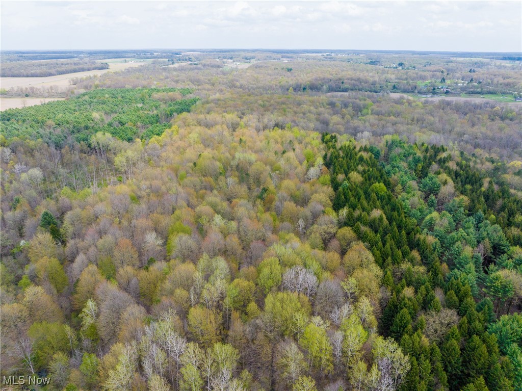 Crosby Creek Road, Rome, Ohio image 30