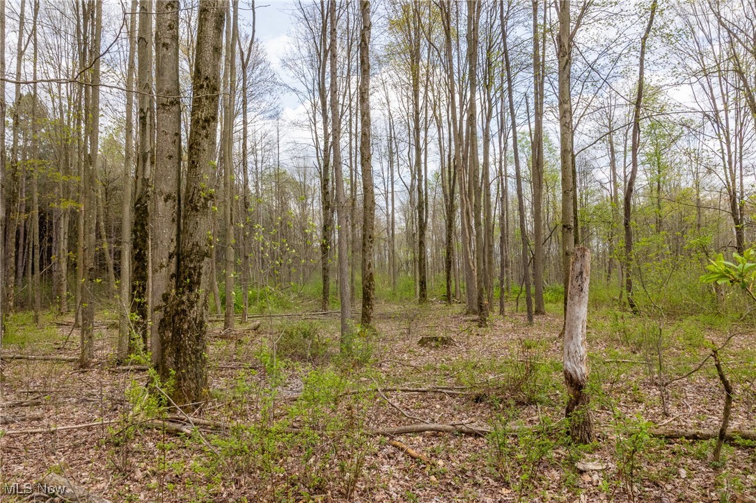 Crosby Creek Road, Rome, Ohio image 23