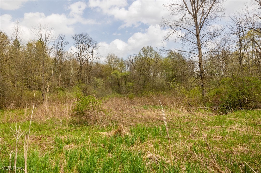 Crosby Creek Road, Rome, Ohio image 19