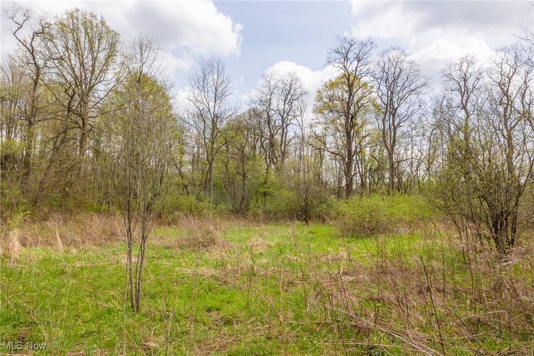 Crosby Creek Road, Rome, Ohio image 21